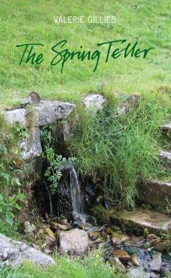 Book cover for The Spring Teller