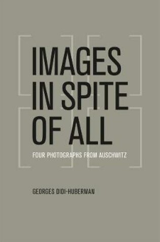 Cover of Images in Spite of All