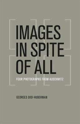 Book cover for Images in Spite of All