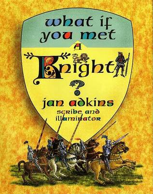 Book cover for What If You Met a Knight?