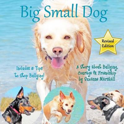Book cover for Big Small Dog