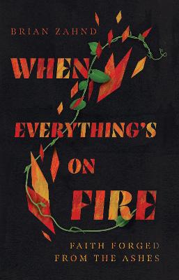 Book cover for When Everything's on Fire