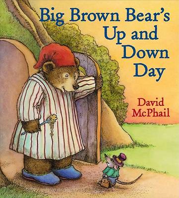 Book cover for Big Brown Bear's Up and Down Day