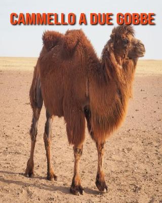 Book cover for Cammello a due gobbe