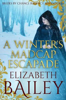 Book cover for A Winter's Madcap Escapade