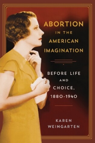 Cover of Abortion in the American Imagination