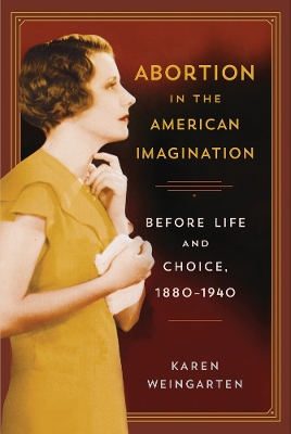 Book cover for Abortion in the American Imagination