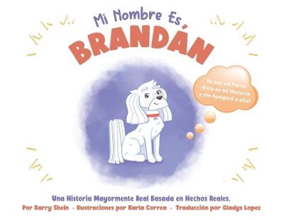 Book cover for Mi Nombre Es Brandán