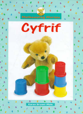 Cover of Cyfrif