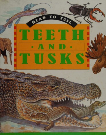 Book cover for Teeth and Tusks