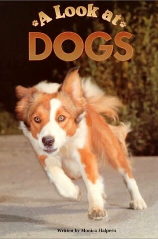 Cover of A Look at Dogs