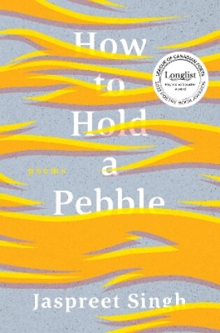 Cover of How to Hold a Pebble