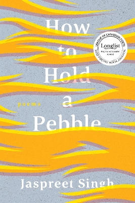 Book cover for How to Hold a Pebble