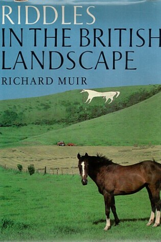 Cover of Riddles in the British Landscape