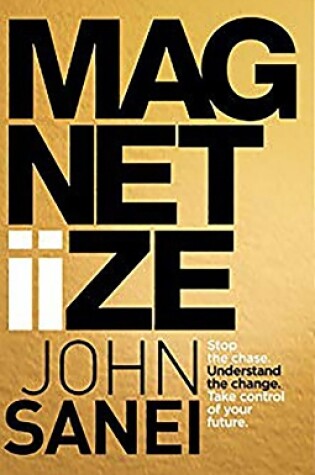 Cover of Magnetiize