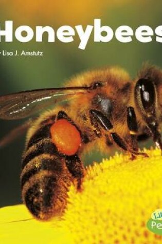 Cover of Honeybees (Little Critters)