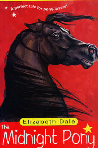 Cover of The Midnight Pony