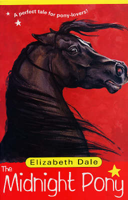 Book cover for The Midnight Pony