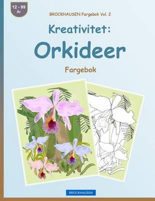 Book cover for BROCKHAUSEN Fargebok Vol. 2 - Kreativitet