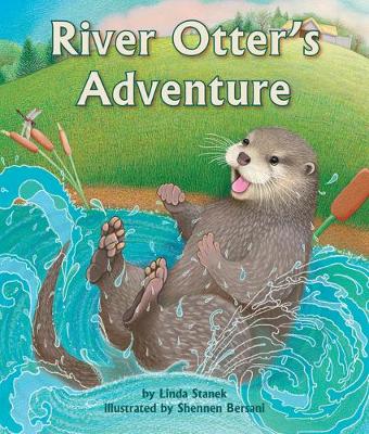 Book cover for River Otter's Adventure