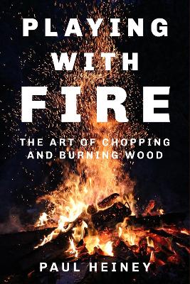 Book cover for Playing With Fire