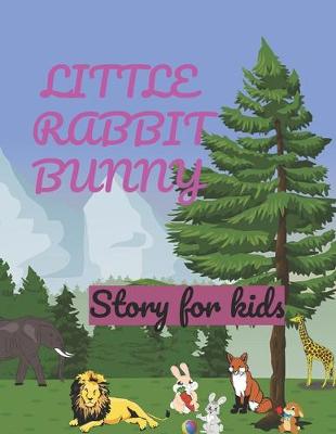 Book cover for Little Rabbit Bunny