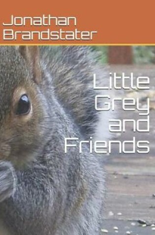 Cover of Little Grey and Friends
