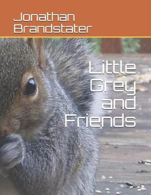 Book cover for Little Grey and Friends