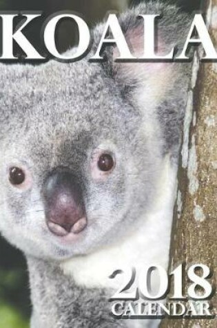 Cover of Koala 2018 Calendar (UK Edition)