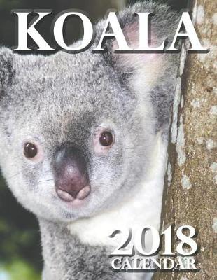 Book cover for Koala 2018 Calendar (UK Edition)