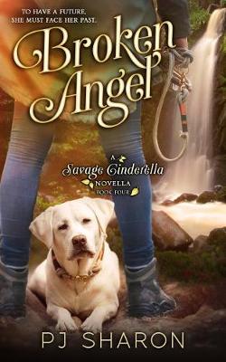 Book cover for Broken Angel