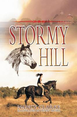 Book cover for Stormy Hill