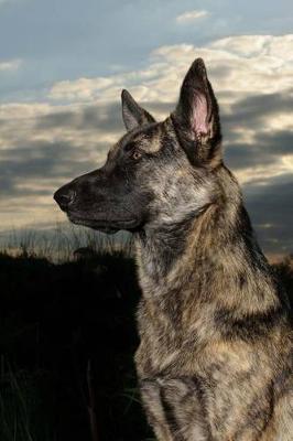 Book cover for The Dutch Shepherd Dog Journal