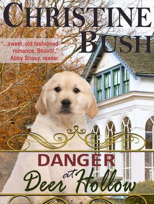 Book cover for Danger at Deer Hollow