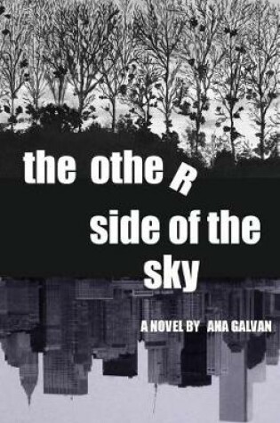 Cover of The Other Side of the Sky