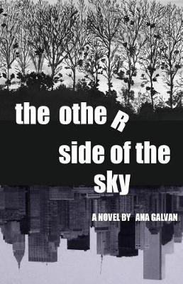 Book cover for The Other Side of the Sky