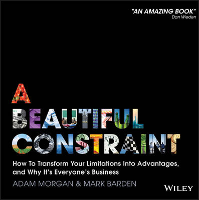 Book cover for A Beautiful Constraint