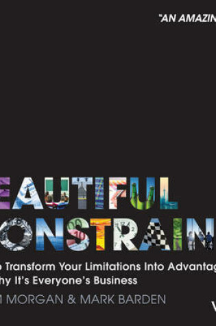 Cover of A Beautiful Constraint