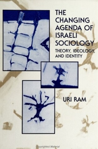 Cover of The Changing Agenda of Israeli Sociology