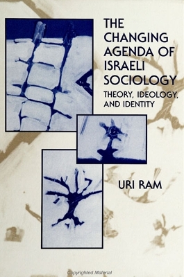 Book cover for The Changing Agenda of Israeli Sociology