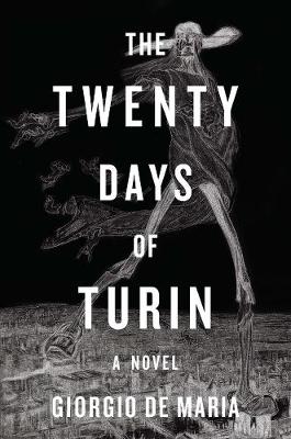 Book cover for The Twenty Days of Turin