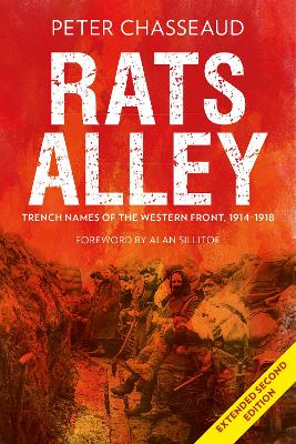 Book cover for Rats Alley