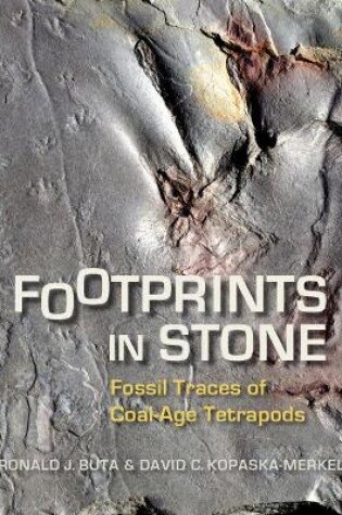 Cover of Footprints in Stone