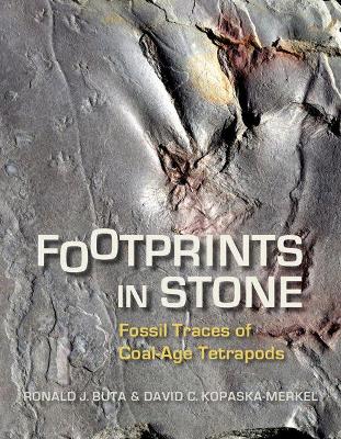 Book cover for Footprints in Stone