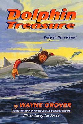 Book cover for Dolphin Treasure