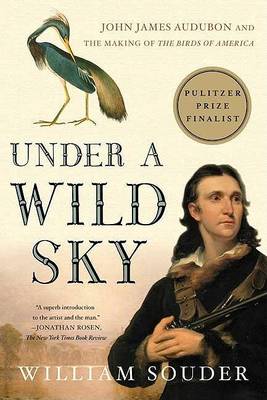 Book cover for Under a Wild Sky