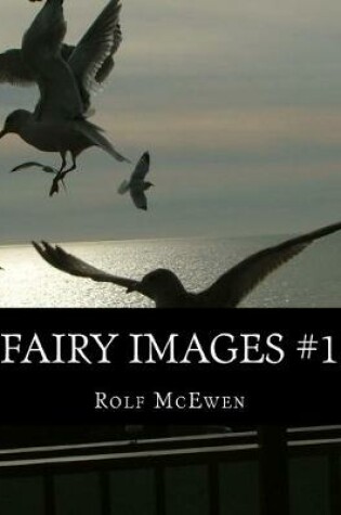 Cover of Fairy Images #1