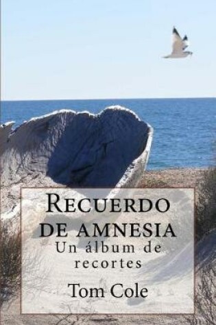 Cover of Recuerdo de amnesia