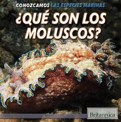 Book cover for ¿Qué Son Los Moluscos? (What Are Mollusks?)