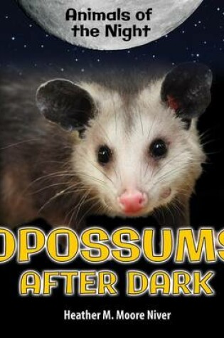 Cover of Opossums After Dark